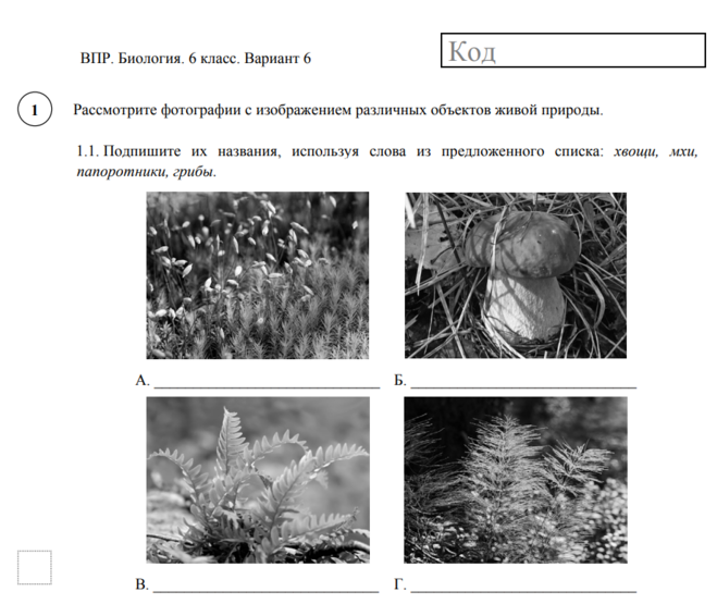 Впр по биологии вариант. Задания ВПР по биологии 6 класс. ВПР биология 5 класс вариант 2 с ответами. Задания ВПР 7 класс биология. Задания ВПР 6 класс биология.