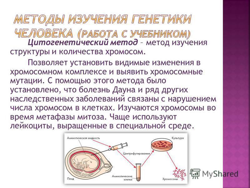 Основной метод генетики