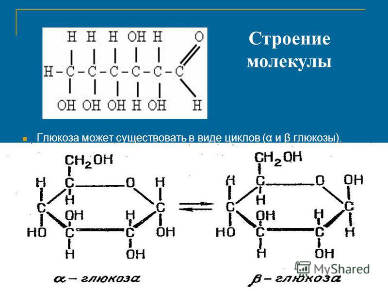 Из остатка молекула глюкозы состоят молекулы