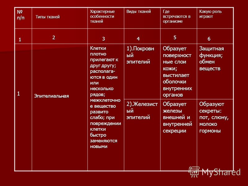 Таблица встречающего. Типы тканей характерные особенности. Таблица Тип ткани характерные особенности. Таблица типы тканей характерные особенности виды тканей. Характерные особенности соединительной ткани виды.