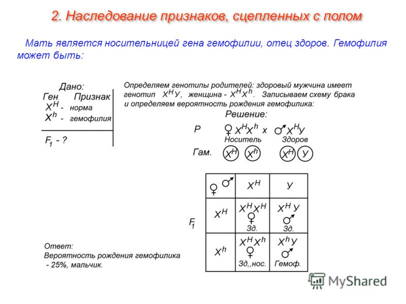 Решение задач по генетике с объяснением и ответами на все типы презентация