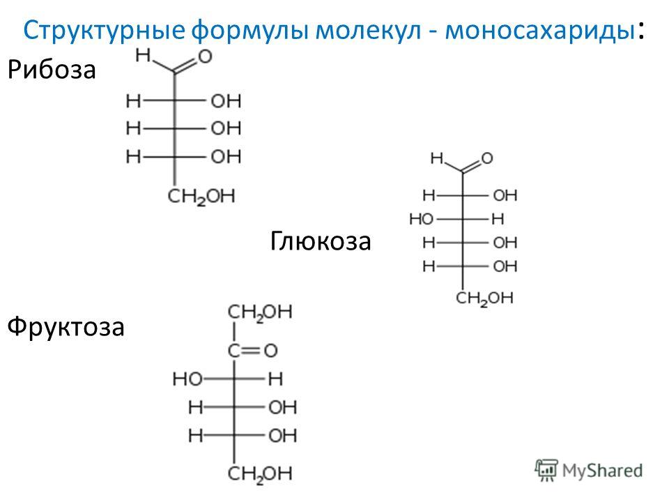 2 составить молекулярную формулу. Глюкоза фруктоза рибоза формула. Формулы моносахаридов Глюкоза фруктоза. Рибоза структурная формула. Структурная формула моносахаридов Глюкозы.