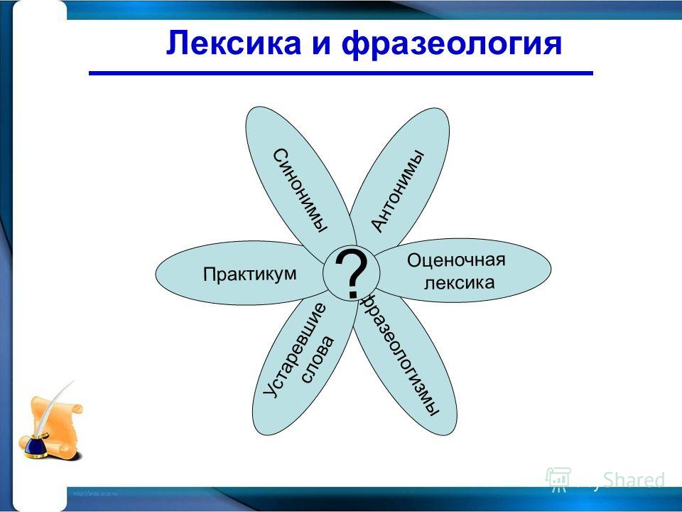 Лексика и фразеология как система красноречия языка проект