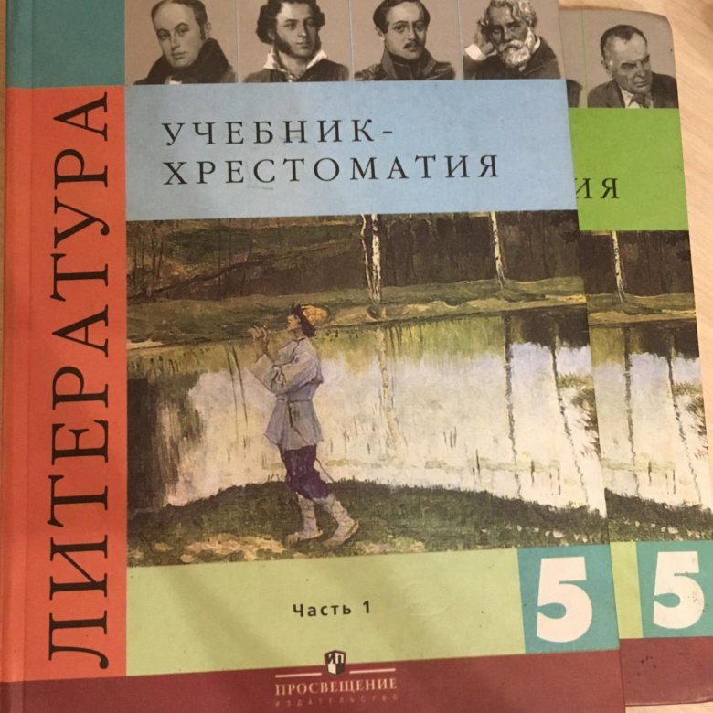 Презентация по литре 6 класс