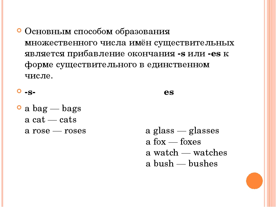 Правило множественного числа в английском языке. Bag во множественном числе на английском языке. Species множественное число в английском языке. Окончания существительных в английском языке упражнения. Множественное число существительных в английском языке 2 класс.