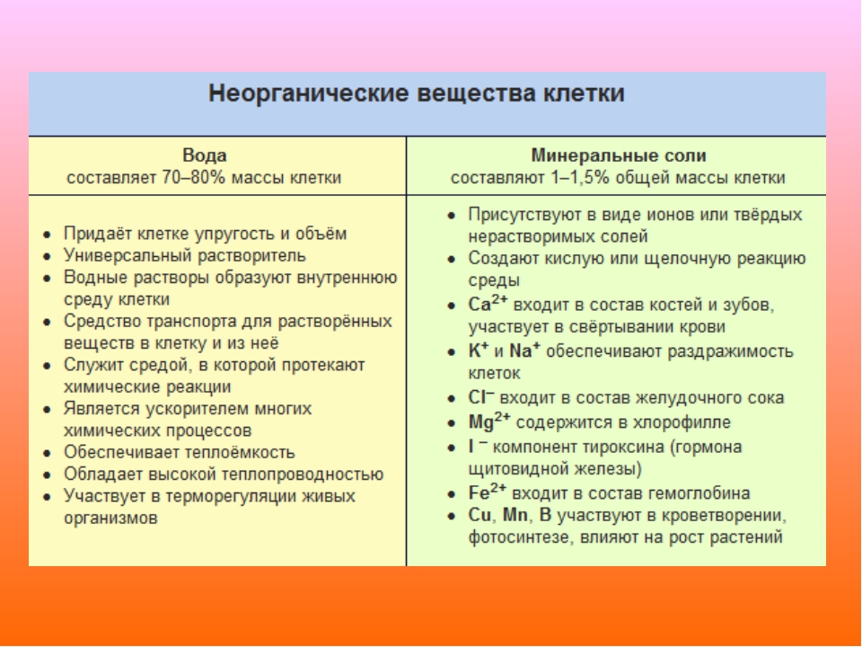 Минеральные вещества и их роль в клетке презентация