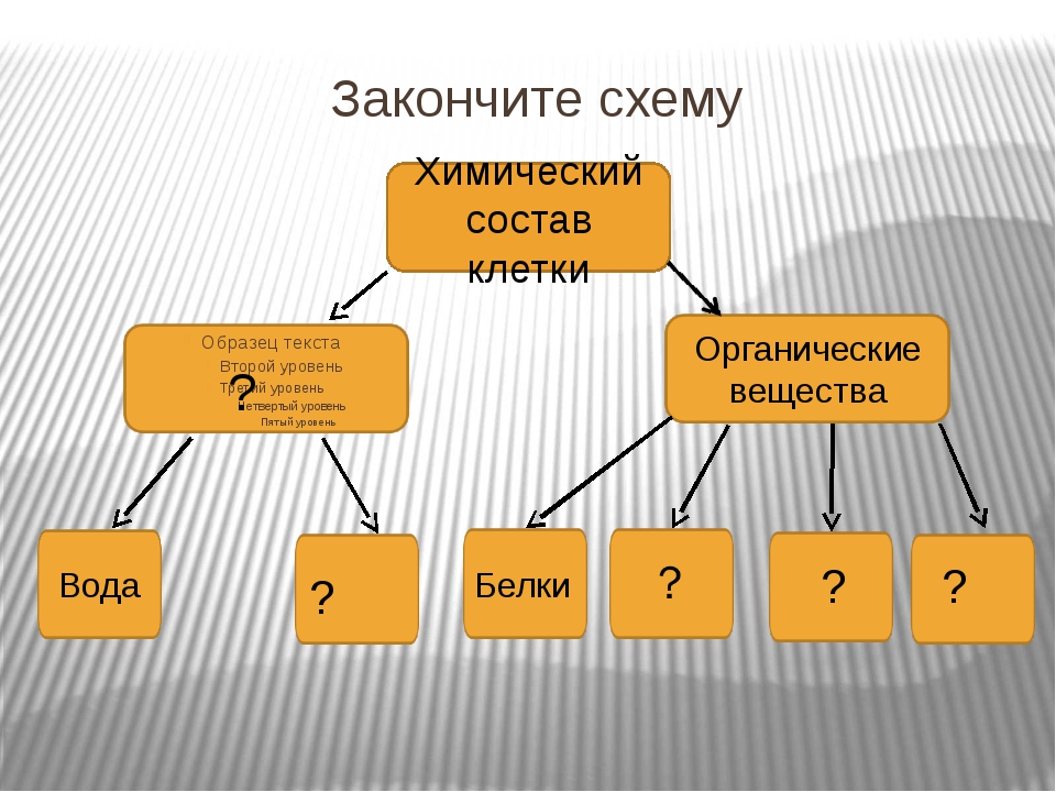 Химический состав клетки схема клетки