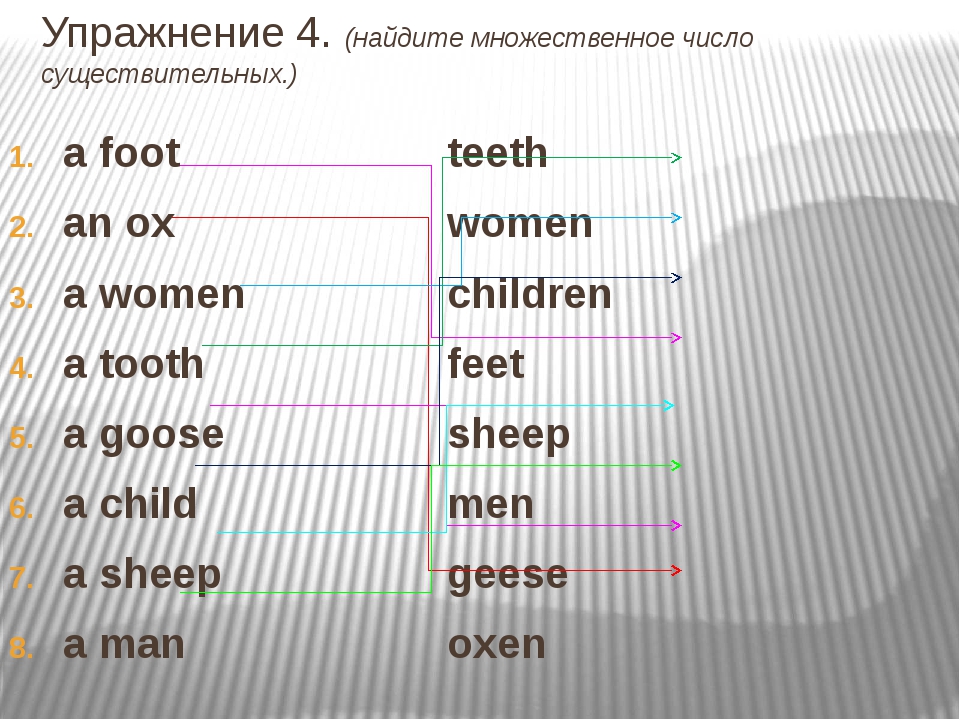 Фото во множественном