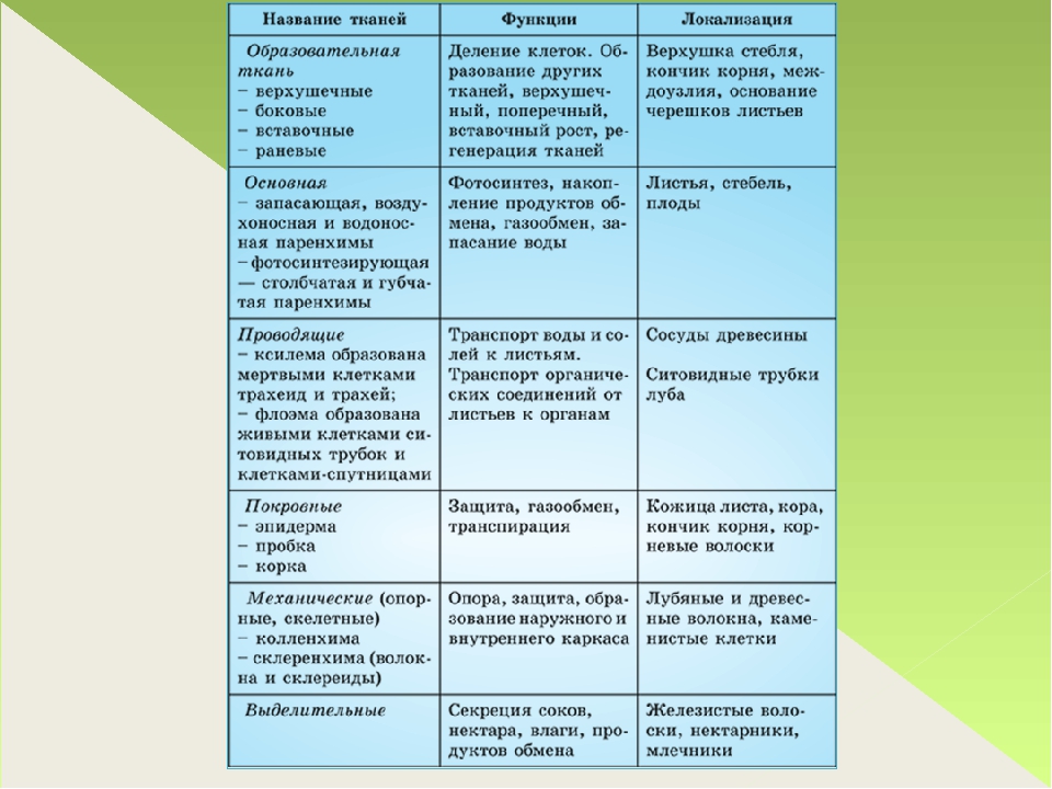 Функция хлопок. Растительные ткани таблица 6 класс. Основная ткань растений таблица. Таблица ткани растений 6 класс биология. Ткани растений строение и функции таблица.