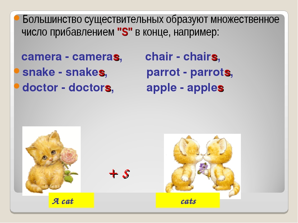 Поставьте существительные во множественное число. Мн число сущ в англ яз правило. Правило англ яз множественное число. Множественное число существительных в английском языке на f. Множественное число имен сущ в англ.