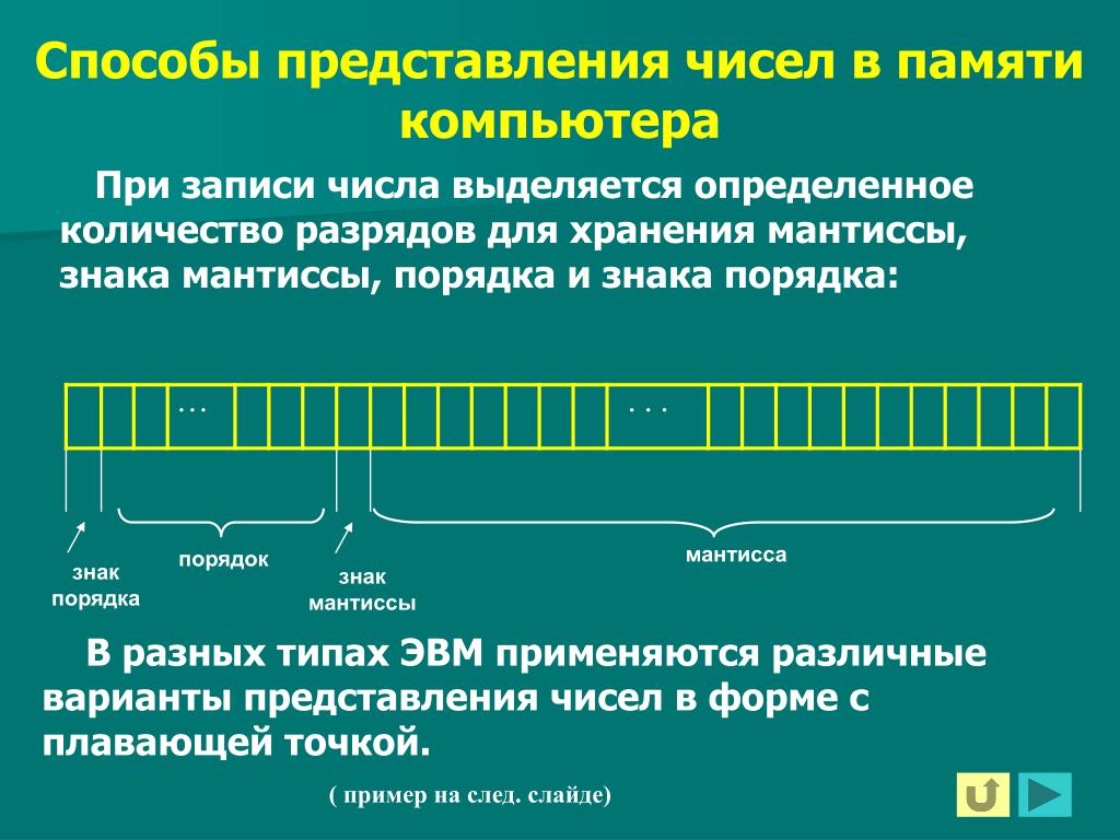 Что относится к основным правилам представления чисел в компьютере тест