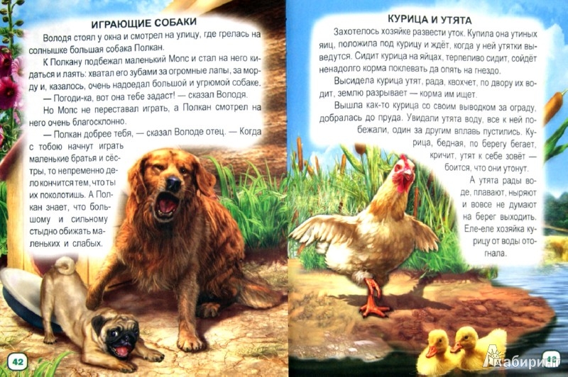 Литература 5 класс про животных