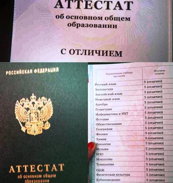 Что значит цвет аттестата в 9. Аттестат за 9 класс. Аттестат ученика 9 класса. Аттестат после девятого класса.