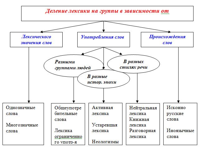 Русский язык делится на группы. Группы лексики в русском языке. Деление лексики русского языка на группы. Деление лексики на группы в зависимости от 4-х критериев. Лексика лексические группы.