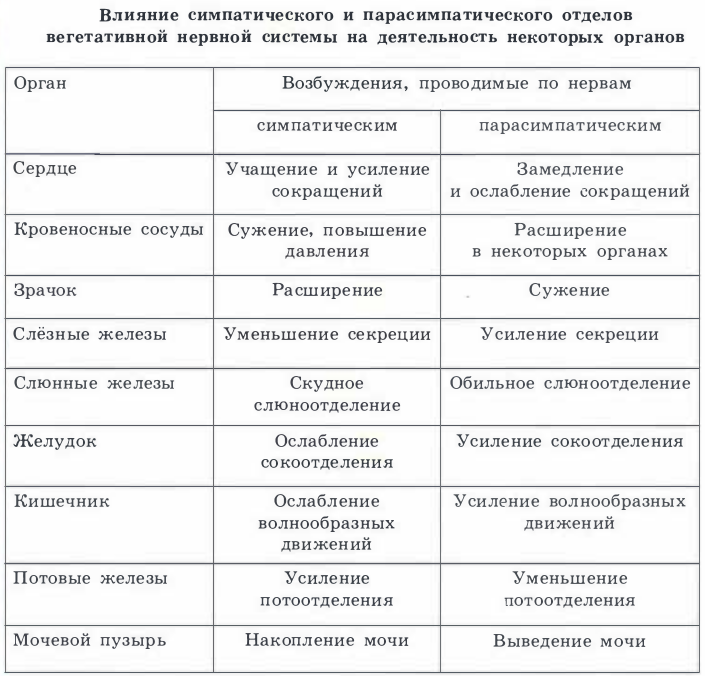 Нейропсихология в таблицах и схемах