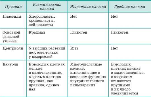 Чем ворд класс отличается от лайт