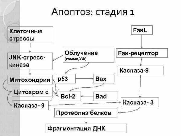 План цикла уроков по одной теме проблеме это