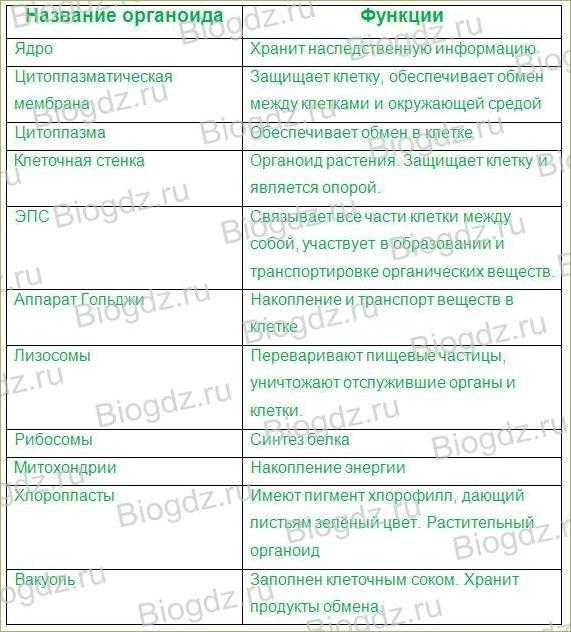 Вопросы по клетке 6 класс