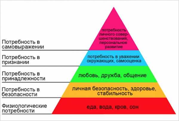 Роль потребностей в деятельности человека план егэ