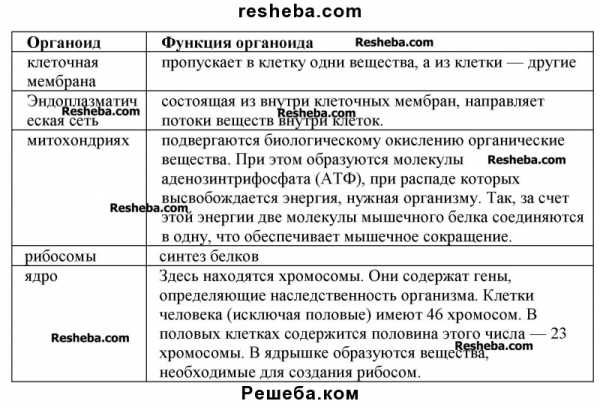 Прочитайте в приложении текст о ферментах выполните описанные там опыты и объясните почему вареный