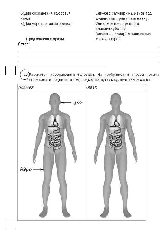 Впр 4 класс окружающий 2023 с ответами