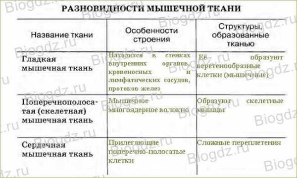 Заполните таблицу в тетради распределив слова по тематическим группам гипермаркет браузер сейл